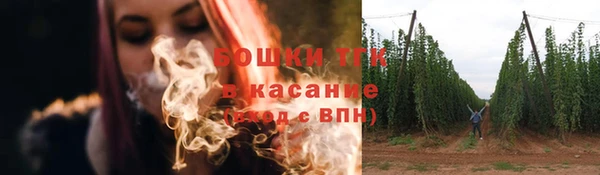 стафф Пересвет