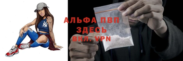 стаф Пестово
