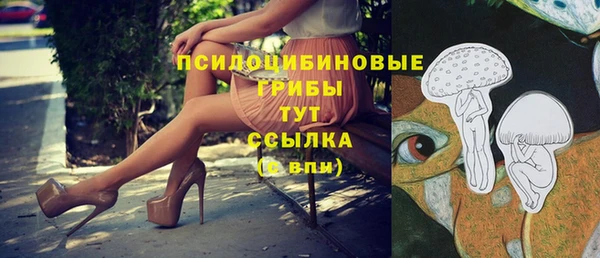 стаф Пестово
