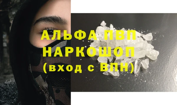 стаф Пестово